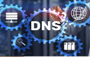 Domain Name Server DNS Nedir?